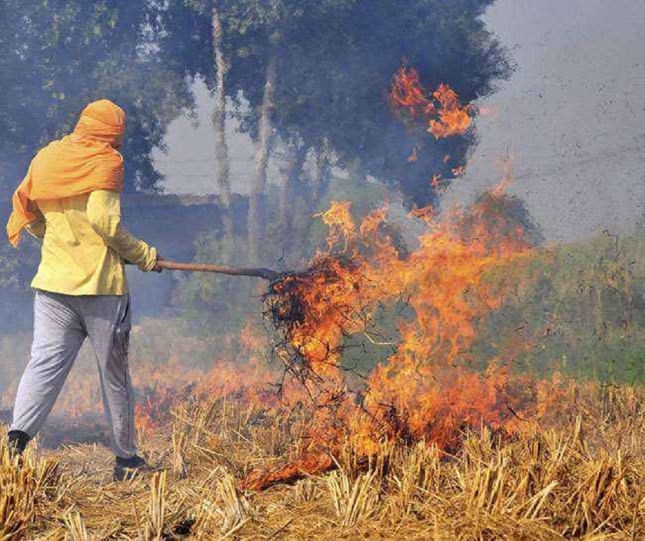Farmers burning stubble will face police case; won't be able to avail